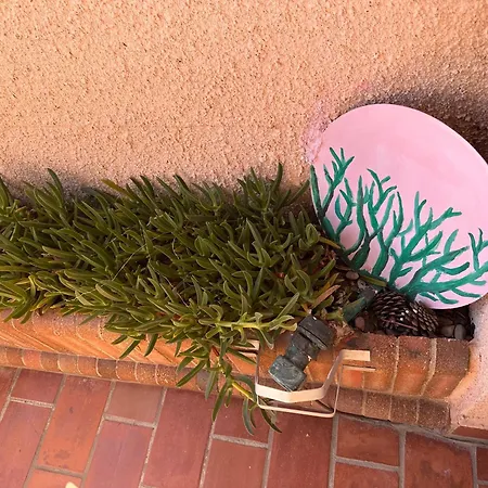 Grauplage Appartement